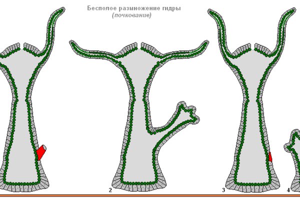 Кракен как зайти