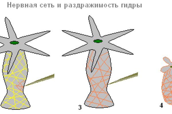 Кракен что можно купить